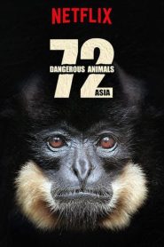 72 Dangerous Animals (2018) 72 สัตว์อันตราย EP.1-12 (จบ)