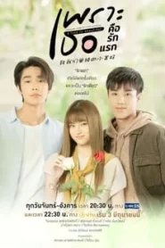 A Love So Beautiful (2024) เพราะเธอคือรักแรก EP.1-18 (จบ)