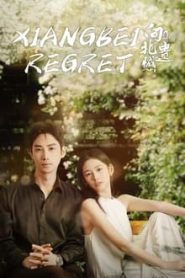 Xiangbei Regret (2024) เกสต์เฮาส์เยียวยารัก EP.1-20 (จบ)